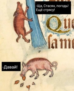 Создать мем: средневековая свинья, средневековый бестиарий, свиньи в средневековье