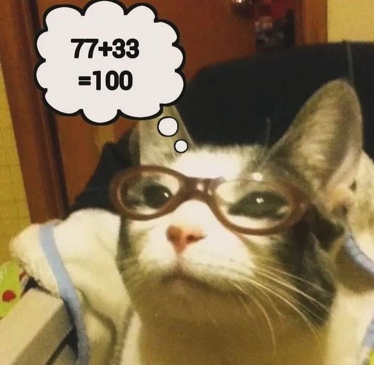 Create meme: cats in glasses, cat with glasses, The cat with glasses is funny