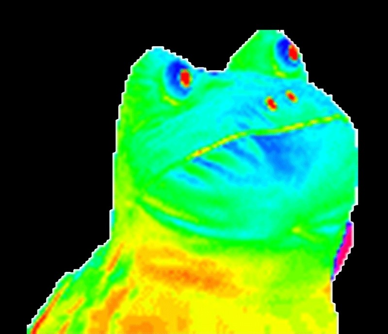 Create meme: pepe the rainbow frog, mlg toad, rainbow toad