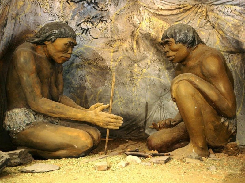 Create meme: ancient man, stone age , primitive man