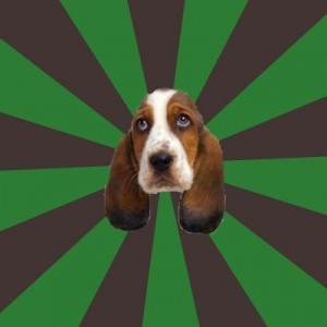 Create meme: create meme, Basset hound, dog breeds