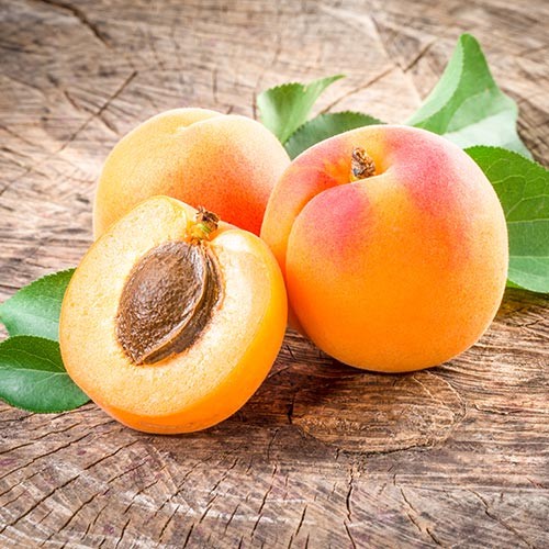 Create meme: apricot, apricot triumph of the north, apricot varieties