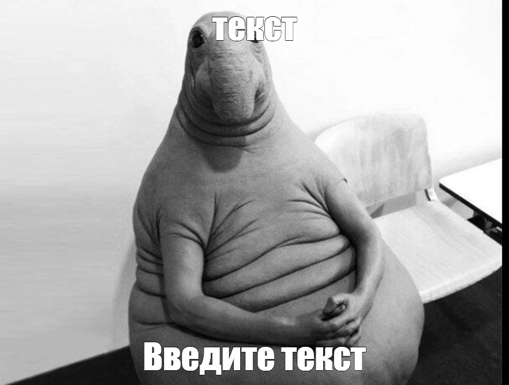 Создать мем: null