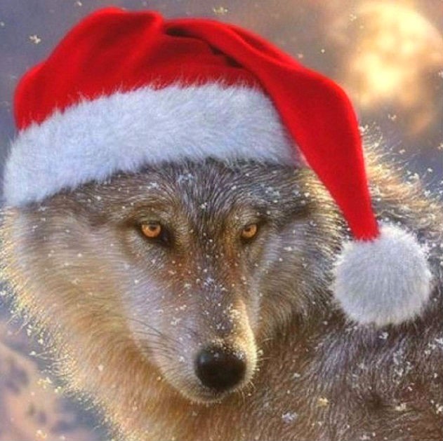 Создать мем: волк крадется новый год, волк санта, волк в новогодней шапке