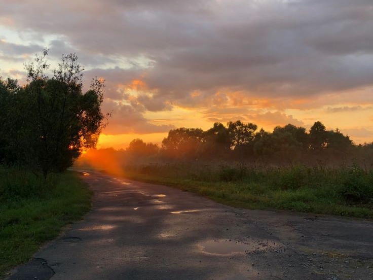 Create meme: May evening, summer landscape, rural landscape