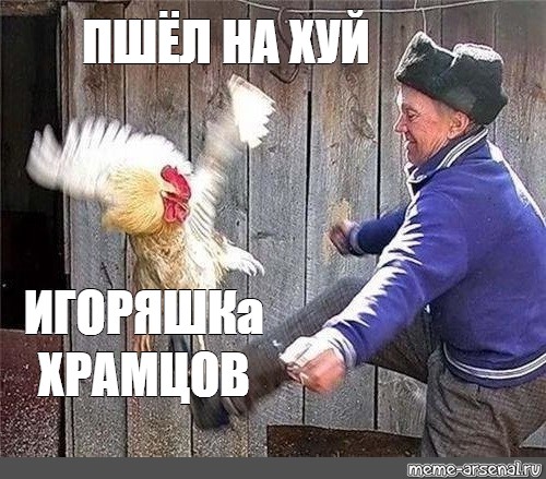 Пинает петуха картинка