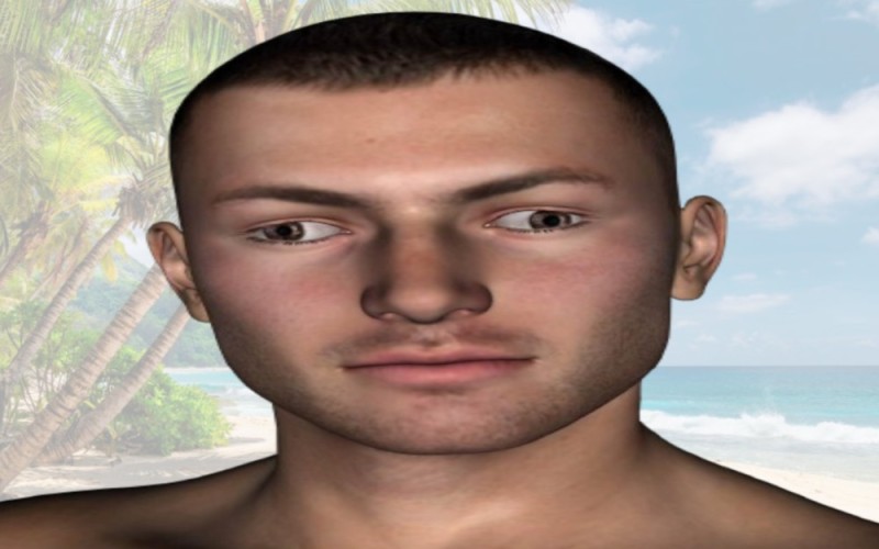 Create meme: sims 4 face mask, individual, james face