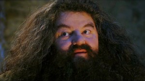 Create meme: Hagrid from Harry, Robbie Coltrane is Hagrid, Hagrid Harry Potter