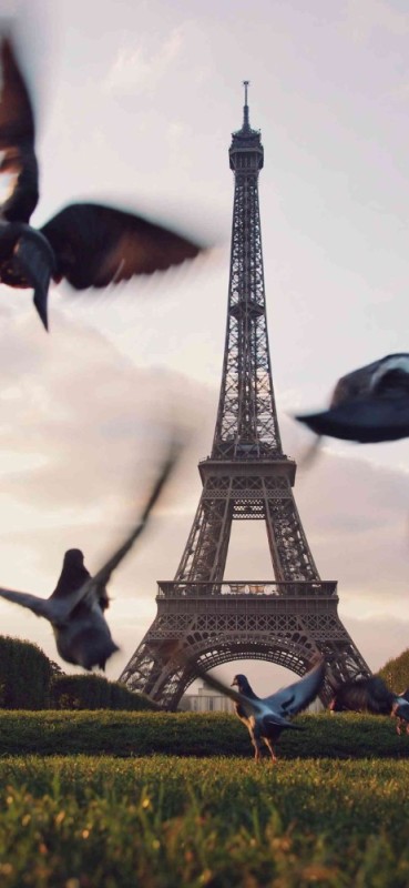 Создать мем: фон эйфелева башня, эйфелева башня париж, эйфелева башня франция