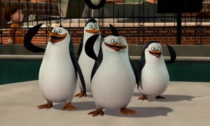 Create meme: the Madagascar penguins, penguin from Madagascar, penguins of Madagascar skipper