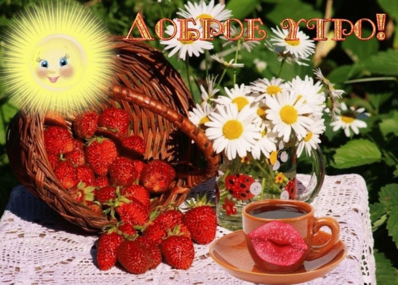 Создать мем: доброго летнего утра и хорошего дня, открытки доброе летнее утречко, поздравление с добрым летним утром