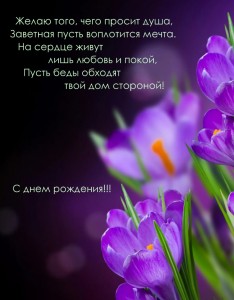 Create meme: crocuses, flowers