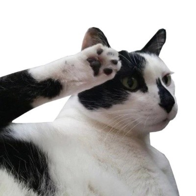 Create meme: cat , cat , cat salutes