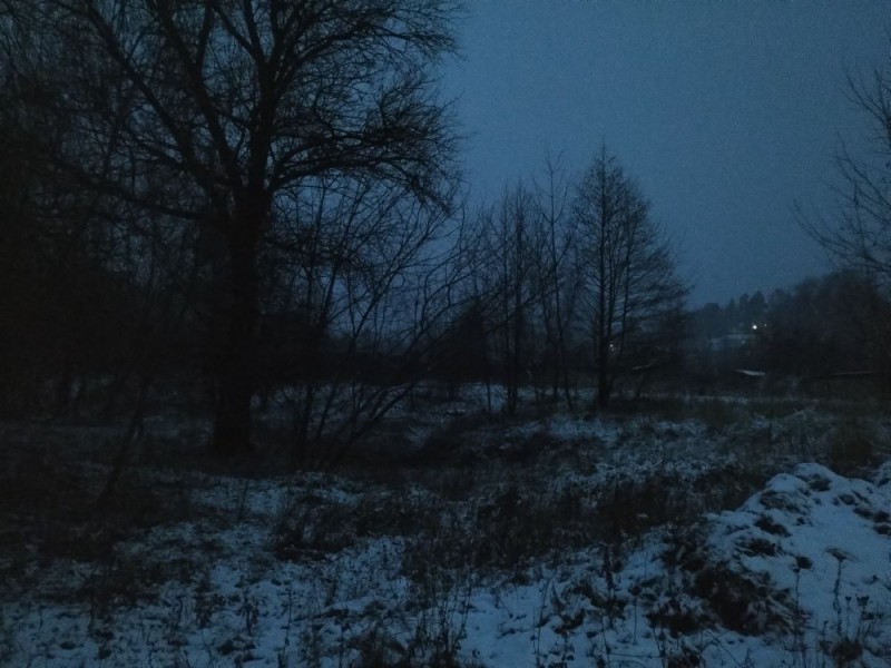 Create meme: winter landscape, gloomy winter, dark winter