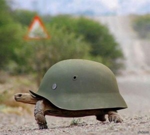 Create meme: army, turtle, turtle