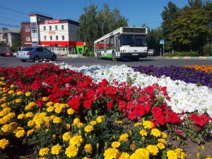 Create meme: flowerbed, flower beds