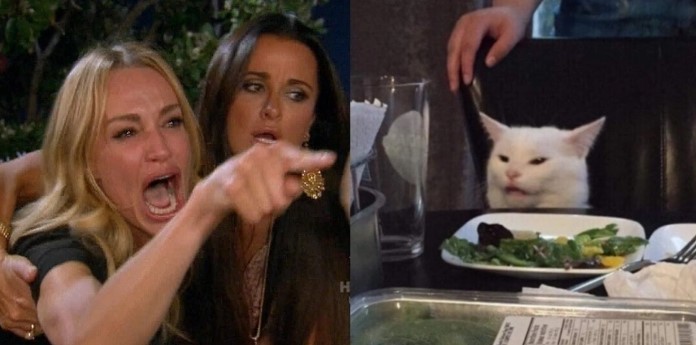 Создать мем: мем с котом за столом и девушками, мем с котом и двумя женщинами, женщина кошка мем