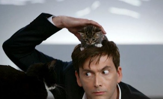 Create meme: David Tennant , david tennant 2007, David Tennant with a seal