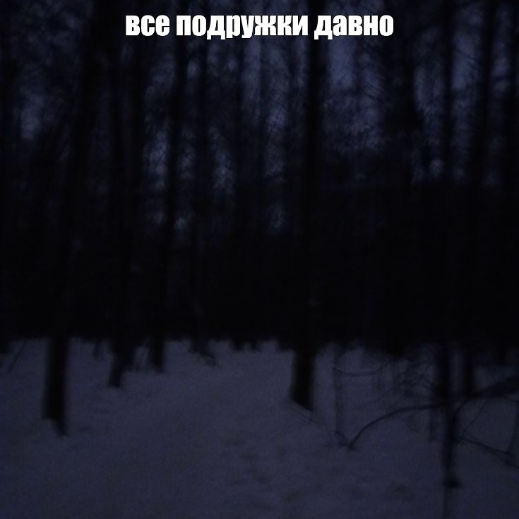 Create meme: dark winter forest, winter in the forest at night, gloomy winter