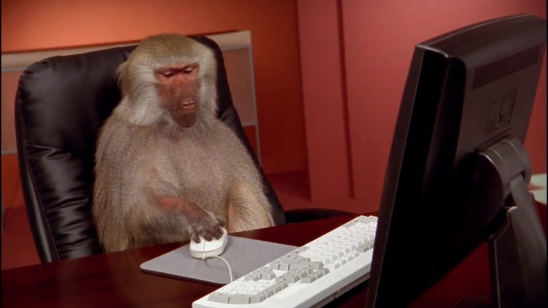 Create meme: monkey behind a computer, office monkey, keyboard 