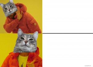 Create meme: cat, cat, cat