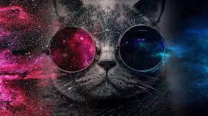 Create meme: the cat in space glasses, cat with cosmos glasses