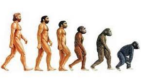 Создать мем: альтернативная эволюция человека, теория эволюции, эволюция человека хомо сапиенс
