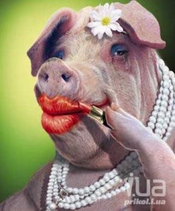 Create meme: the painted pig, pig, funny pigs