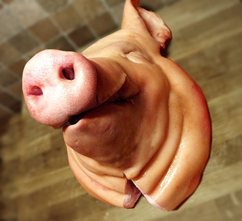 Создать мем: свинья, свинья мясо, жестоки