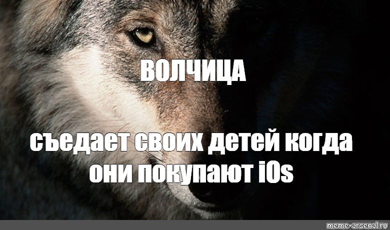 Волк обиделась. Волчица Мем. Волк Мем обида. Мемы с волками. Волк и волчица Мем.