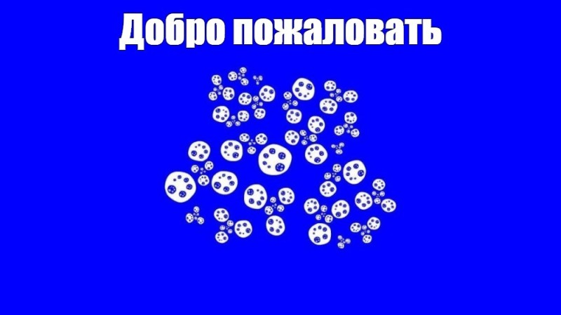 Создать мем: футажи, цветы на синем хромакее, красивые футажи