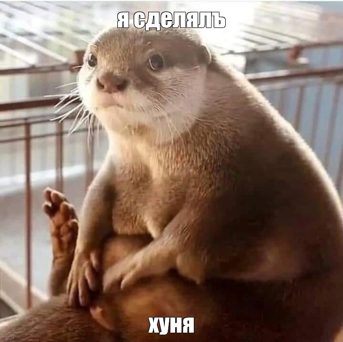 Создать мем: null