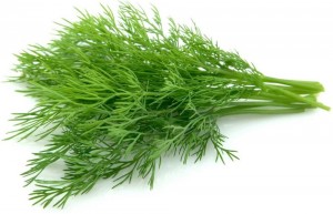 Create meme: greens dill, fresh dill