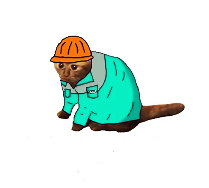 Create meme: the cat is a hard worker, The hard worker meme, employee