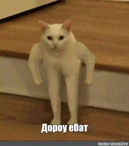 Create Meme Nado Fsyo Udolit White Cat Meme Meme Polukat For Photoshop Cat Jock Meme Pictures Meme Arsenal Com