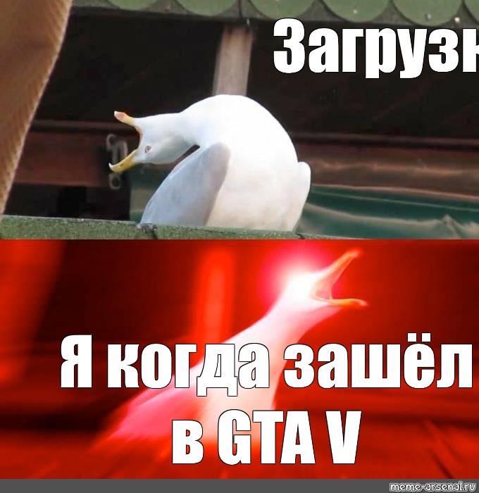 Заходи глубже. Чайка с руками Мем. Мем с чайкой виндовс. Всего хорошего Мем.