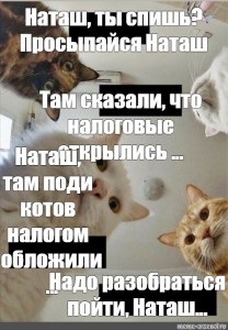 Наташка проснулась. Наташа с днём рождения котики. Коты поздравляют Наташу с днем рождения. Наташа с днём рождения коты Мем. С днём рождения Наташа с котами.