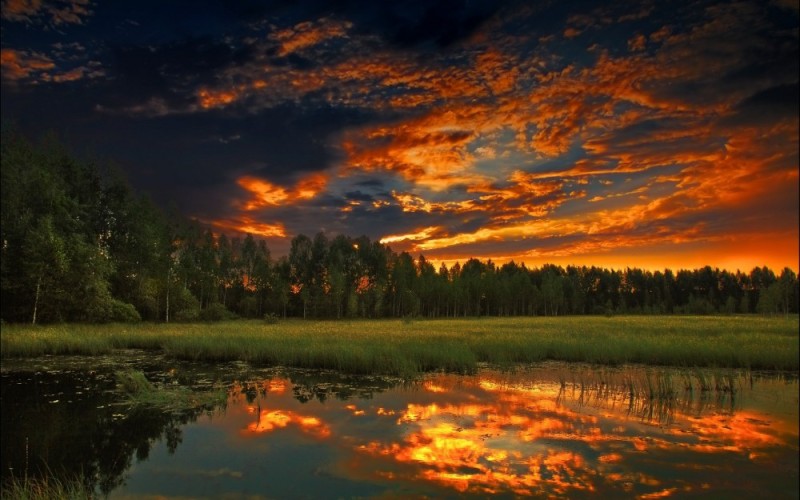 Create meme: sunset in the forest, Beautiful evening nature, Beautiful sunset in the forest