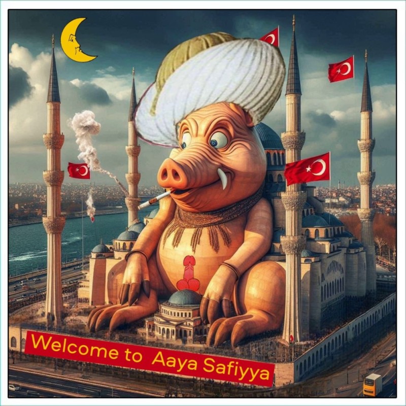 Create meme: Turkish illustrations, turkey istanbul, Turkey istanbul attractions