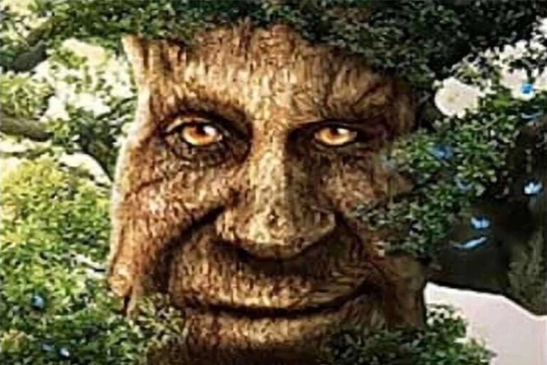 Create meme: the mystical tree, a mystical tree with a face, wise tree