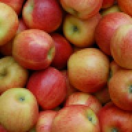 Create meme: variety of apples, apple tree variety, idared apple variety