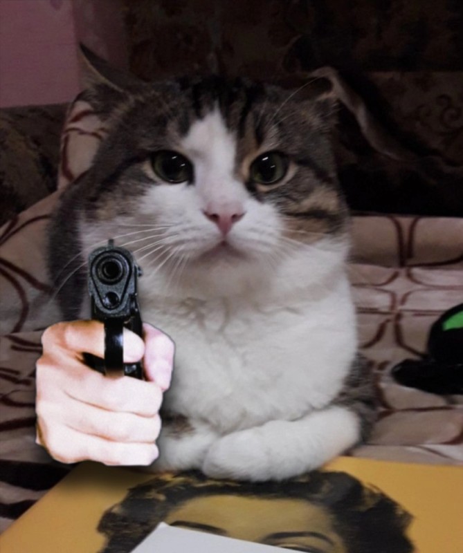 Создать мем: кот, кот с пистолетом, кошка с пистолетом