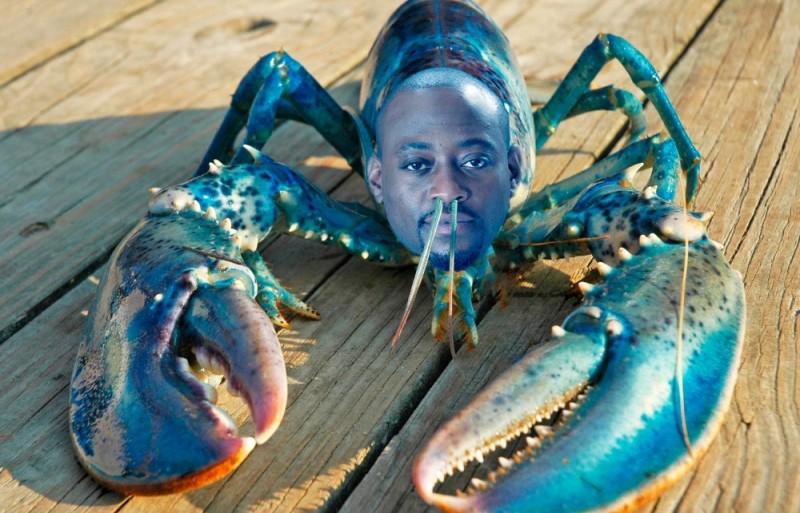 Create meme: american lobster, blue lobster, american lobster (lobster)