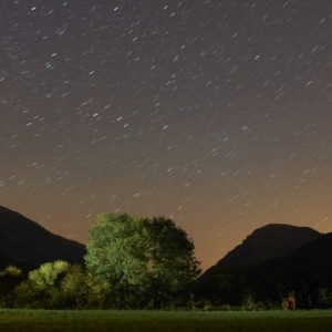 Создать мем: starry sky, небо деревья, night sky