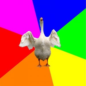 Create meme: create meme, goose meme, meme unicorn