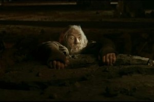 Create meme: Gandalf run you fools, run you fools, Gandalf fools