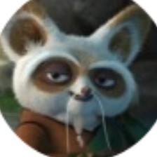 Create meme: kung fu panda, master Shifu, kung fu Panda