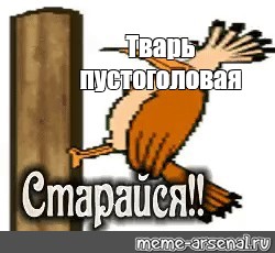 Создать мем: null