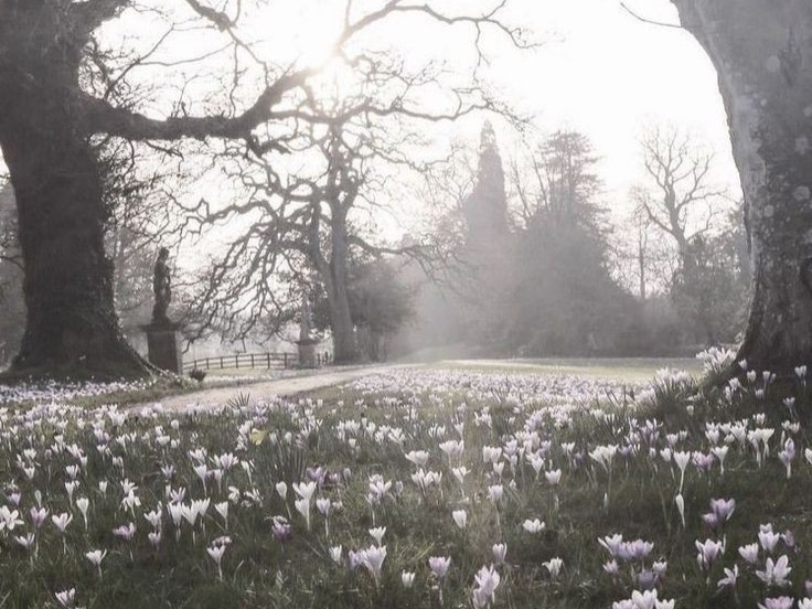 Create meme: spring in London, spring nature, St. James's Park in London