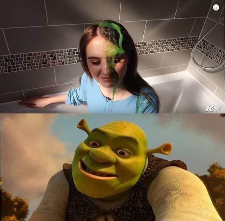 Create meme: Shrek Fiona , Shrek Shrek, the characters of Shrek